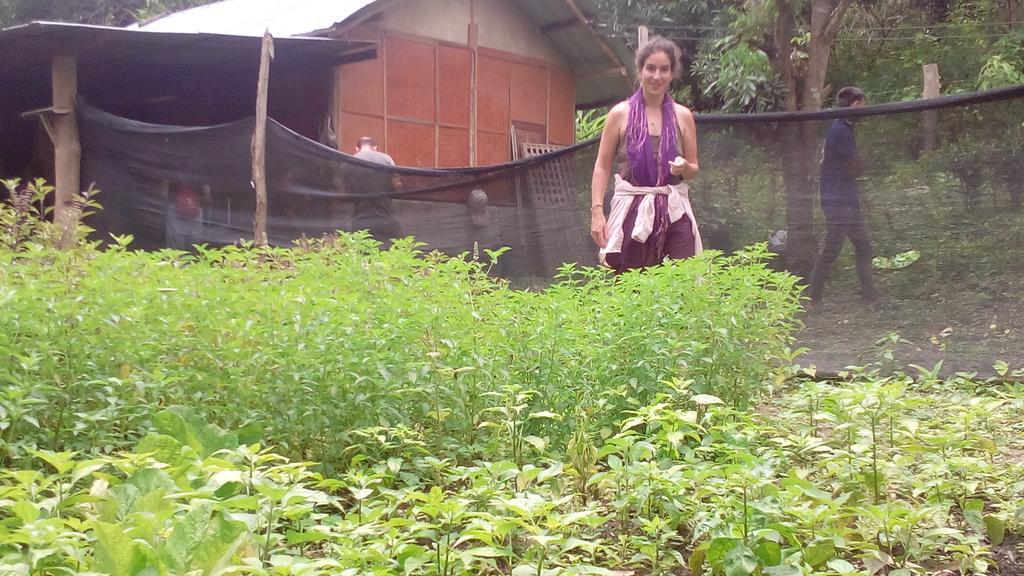The Local Story Resort Ban Mon Talaeng Exterior photo